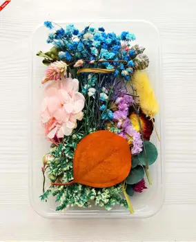 1 кутия за Сухи Цветя UV Смола, Натурален Цвете Етикети Суха Красотата на Стикер За Художествено Производство на Бижута Занаят Леярство Форми Подаръци Аксесоари