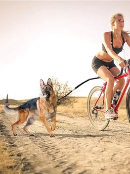 Mysudui Велосипеден Каишка За Кучета, Прибиращ се Каишка За Домашни Любимци, Качен на Улично Кученце под Наем, Найлон Бънджи-Въже за Средни И Големи Тренировки На Открито